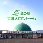 道の駅 七城メロンドーム - 