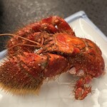 割烹の宿 美鈴 - ヤドカリ