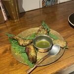 シバカリーワラ - 