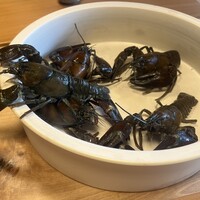 柚木元 - 
