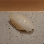 315185488 - アオリイカ