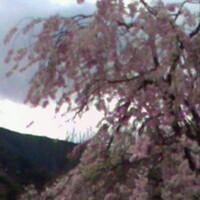 侘家古暦堂 祇園花見小路本店 - 