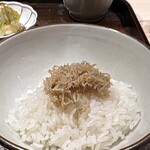 礒田 - ちりめんじゃこご飯