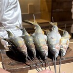 礒田 - 岐阜県和良川の天然鮎、サイズは20cmオーバー