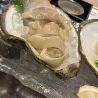 味処 高崎 - 特大の生牡蠣