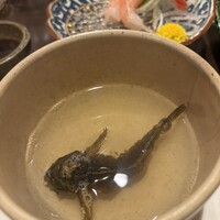 味処 高崎 - 金沢名物　ゴリ酒