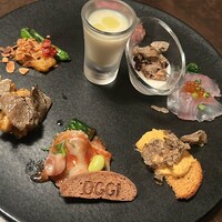 オッジ ダルマット 西麻布店 - 