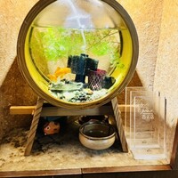 お料理 とみやま - 