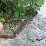 ダ・ロープ亭 - 