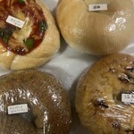 ナナホシテントウ - 