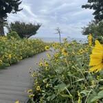 ティファニーミュージアム別館&カフェ - 