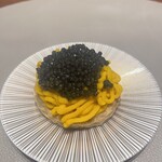 スガラボヴィー - 