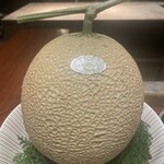 スガラボヴィー - 