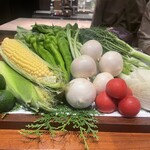 スガラボヴィー - 