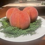 スガラボヴィー - 