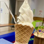 道の駅 コスモール大樹 - 料理写真: