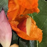 馬車道 大かわ - 