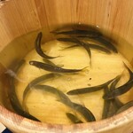 馬車道 大かわ - 