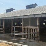 オーガスタミルクファーム - 