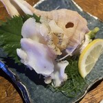 コロポックル - 