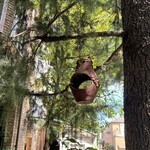 白髭のシュークリーム工房 - 