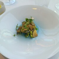 FARO - 