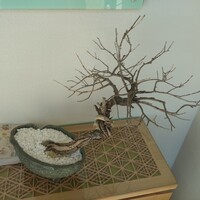 レストラン ラルモワーズ - 