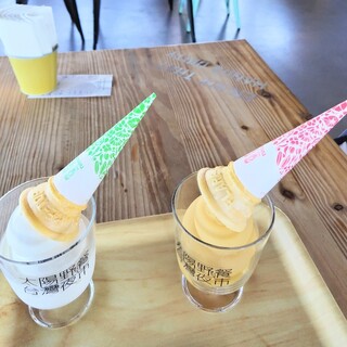 サンシャインピクニックデイズ_1