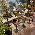 ディス イズ シゼン - 植物販売