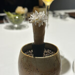 ラ・ヴァガボンド - 