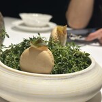 ラ・ヴァガボンド - 