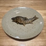 旬菜旬魚 たじま - 