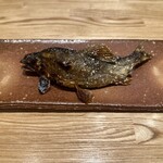 旬菜旬魚 たじま - 