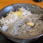 マイアミ貝新 - 