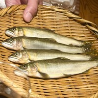 日本料理 太月 - 