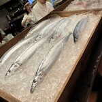 博多炉端 魚男 - 