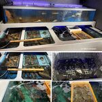 たか瀬 - 魚と貝料理たか瀬(TMGP撮影)