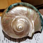 すし 碧海 - 夜光貝を磨くとこんな感じになる