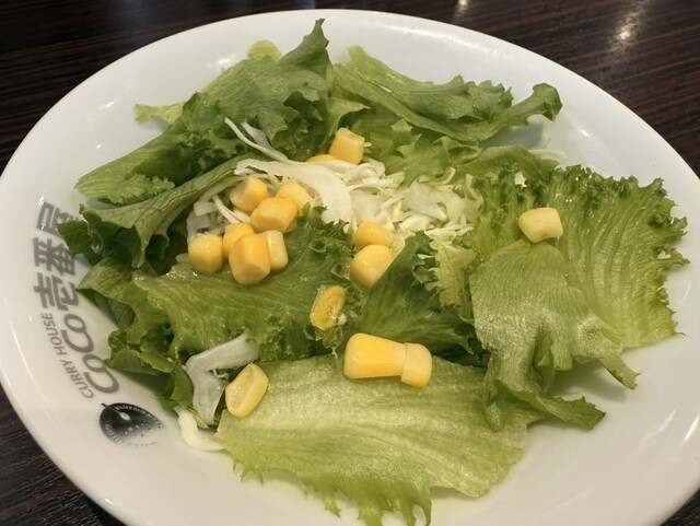 CoCo Ichiban Ya Kyobashi Eki Kitaguchi Ten photo 2