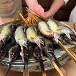 徳ㇵ本也 - 清滝の鮎