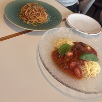 CODA ROSSA - 
