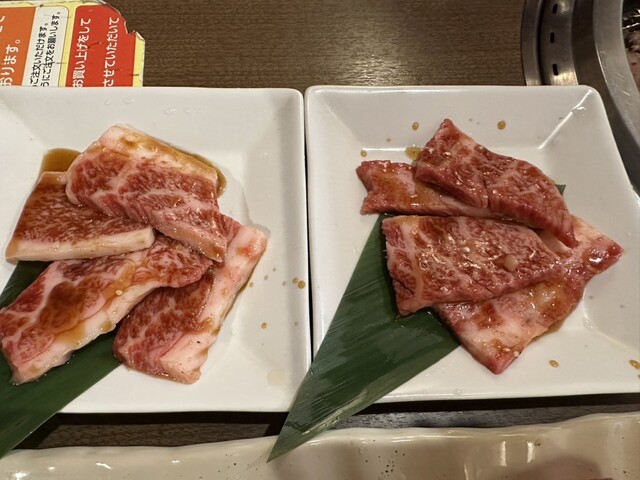 Janjaka Midori Ten photo 2