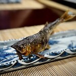 美加登家 - ２尾目は、より大きなサイズ！
      今年は、早くから良型＆豊漁とのことで、脂乗りも良き♪
      こちらは蓼酢をたっぷり付けて、いただきます(^^)