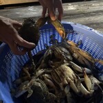 たきや遊船部 - 