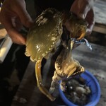 たきや遊船部 - 