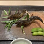 御料理 かつ志 - 