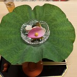 道人 - 1 蓮の葉