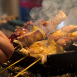 Kunkou Sumibiyaki Takigyouza Yakitori Tadashi - 