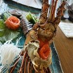 日本料理 まつき - 