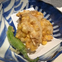 圓 弁柄 渋谷ストリーム - 